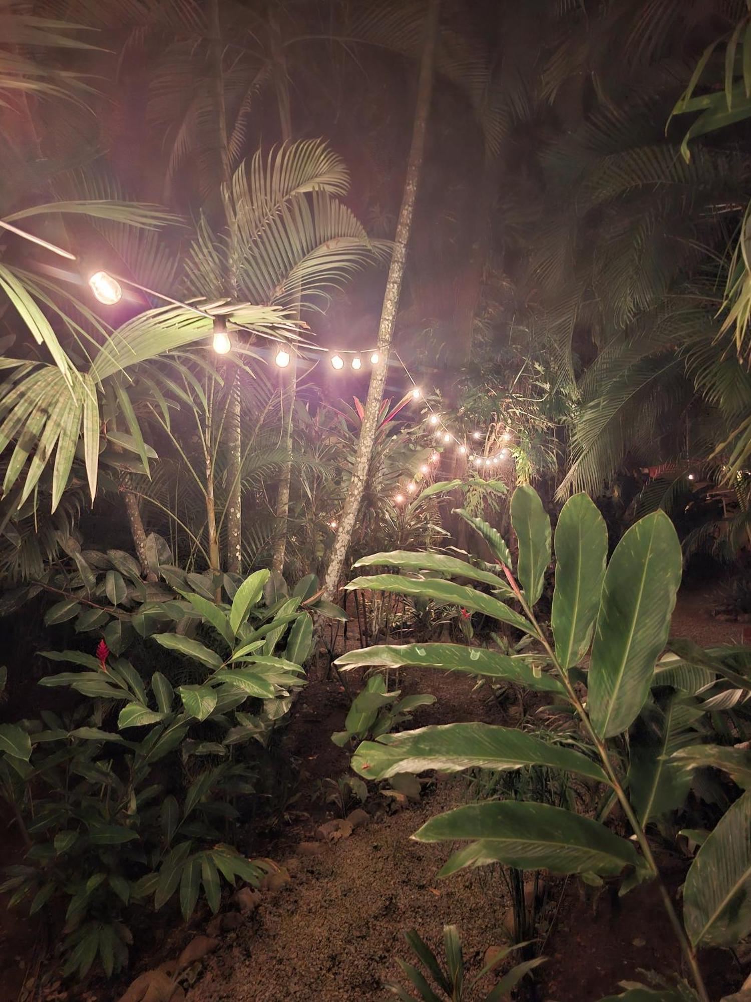 El Jardin De Playa Negra Puerto Viejo de Talamanca Exterior foto