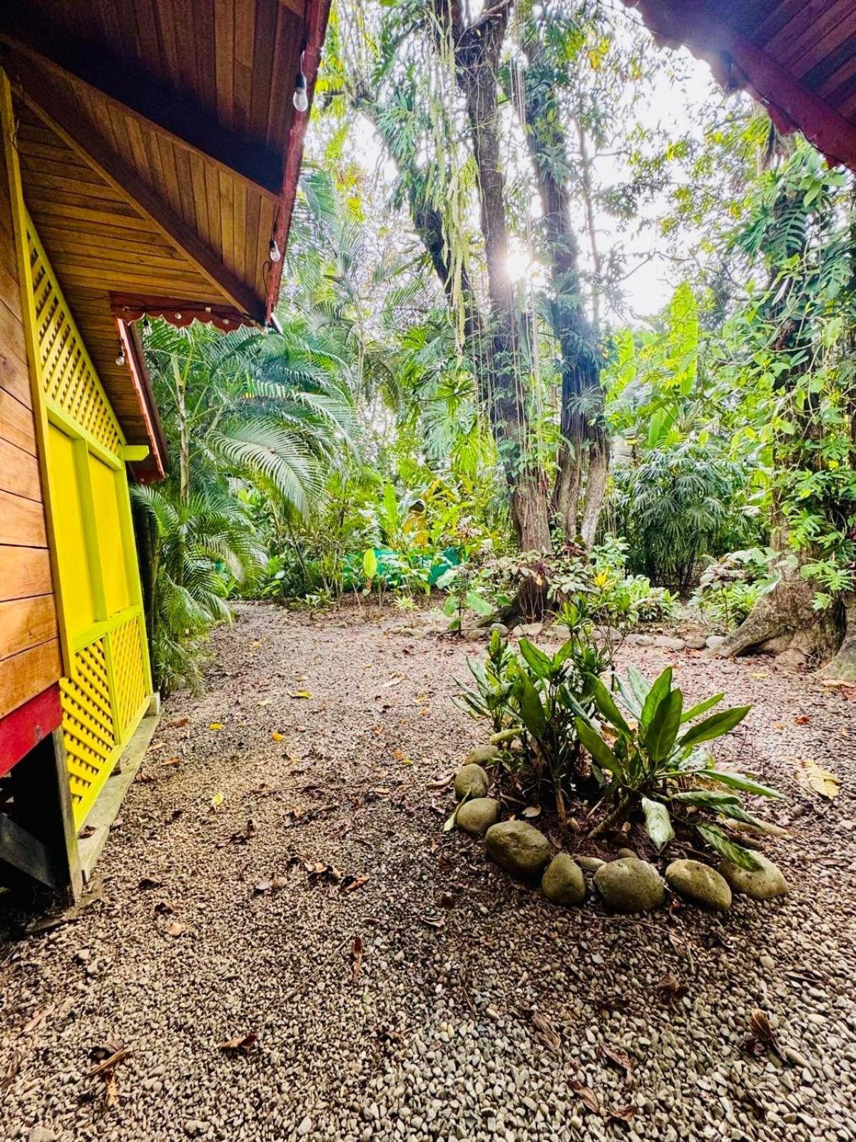 El Jardin De Playa Negra Puerto Viejo de Talamanca Exterior foto
