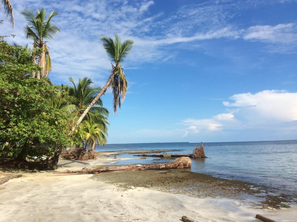 El Jardin De Playa Negra Puerto Viejo de Talamanca Exterior foto