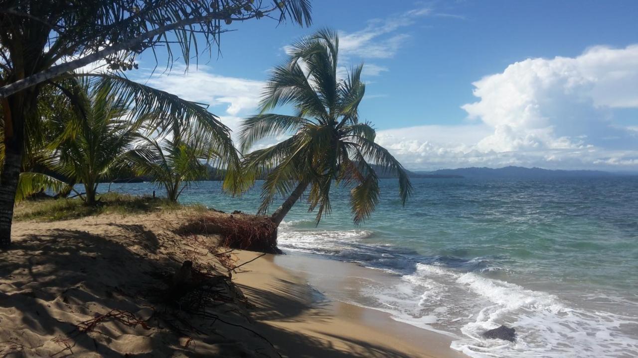 El Jardin De Playa Negra Puerto Viejo de Talamanca Exterior foto