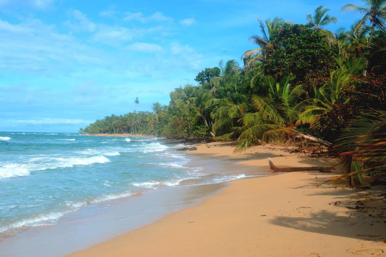 El Jardin De Playa Negra Puerto Viejo de Talamanca Exterior foto